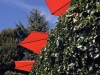 Sun Umbrellas
